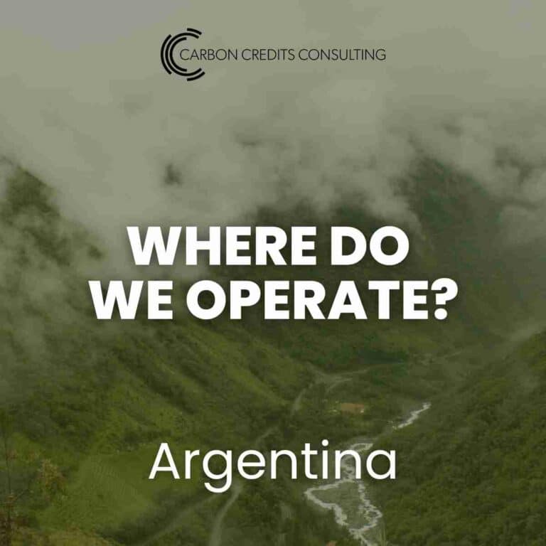 Carbon credits consulting Argentina