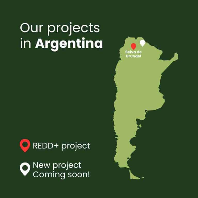 Carbon credits consulting Argentina