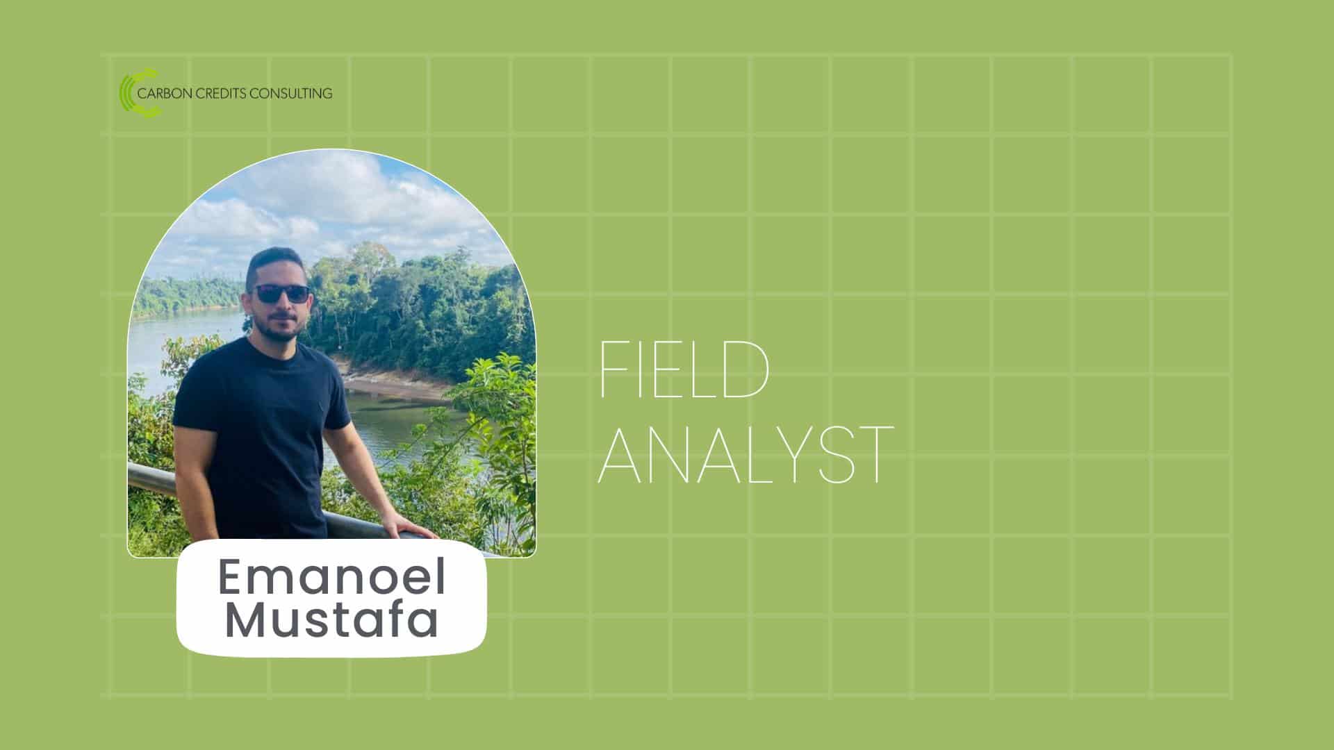 Field Analyst