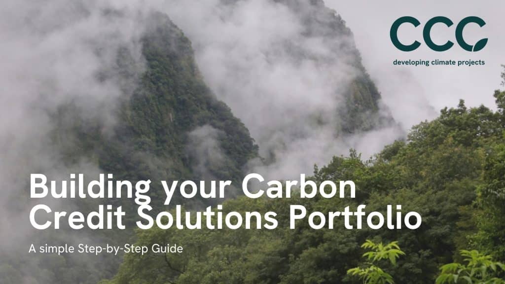 carbon portfolio guide